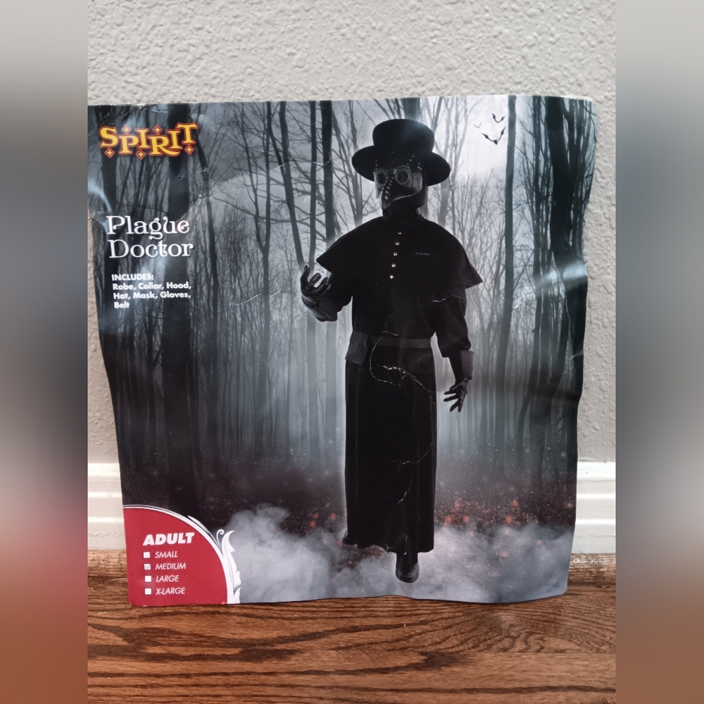 Spirit Halloween Costume